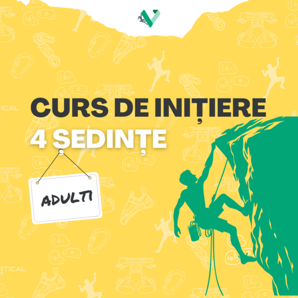 CURS INIȚIERE 4 ȘEDINȚE - ADULT