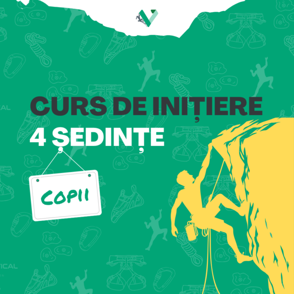 CURS INIȚIERE 4 ȘEDINȚE - COPIL