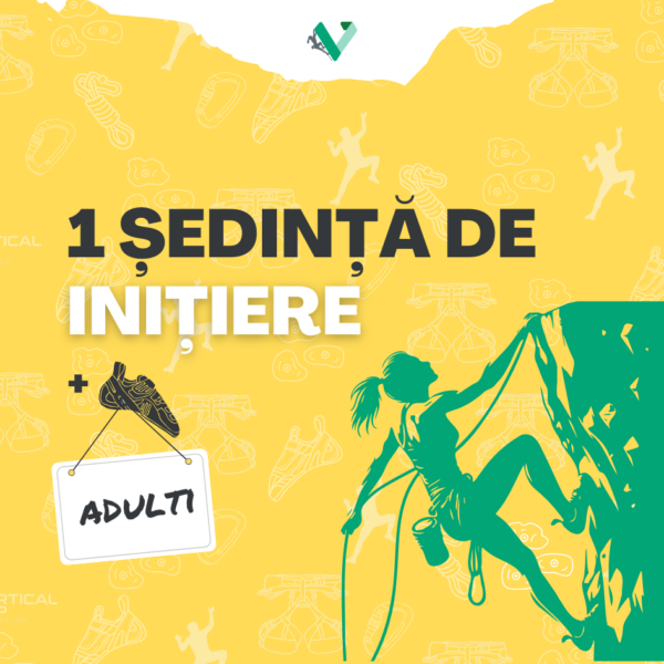 ȘEDINȚĂ INIȚIERE ADULT